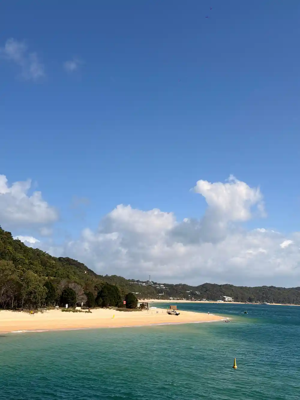 A wooded headland running down to a pale beach